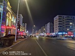 -鹤鸣嘉印象饭店(东市场小区店)