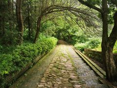 -冶父山国家森林公园