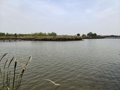 -西青郊野公园