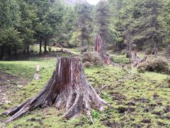 -硗碛藏寨·神木垒景区