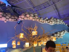 -烟台海昌鲸鲨海洋公园