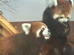 -无锡动物园·太湖欢乐园