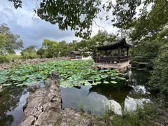 -无锡蠡湖国家湿地公园-蠡园