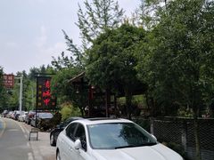 -青城甲(青城山店)