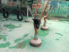 -西安秦岭野生动物园