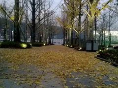 -百林公园-两江幸福广场