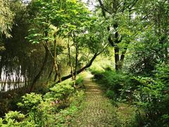 -绍兴鲁迅故里·沈园景区