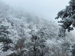 -沂蒙山旅游区龟蒙景区