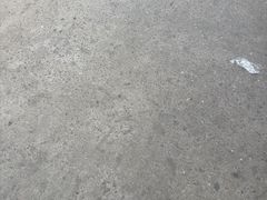 -中环花鸟鱼虫市场