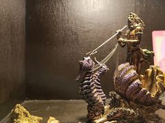 -雪灵魔法世界SHELLY’S TAROT(大良桂畔里店)