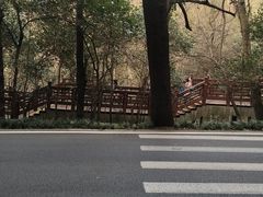 -紫金山山顶公园