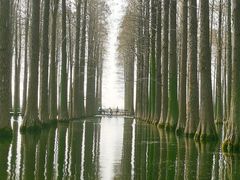 -渌洋湖湿地公园