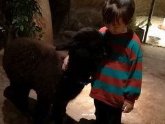 -zoonana室内动物园(东方福来德店)