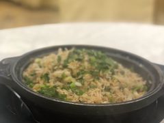 台山黄蟮饭-鹅城