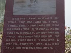 -金银湖国家城市湿地公园