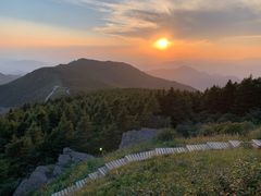 -白草畔自然风景区