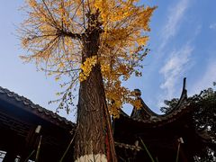 -龙潭水乡