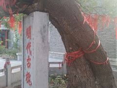景点-杨家埠民间艺术大观园
