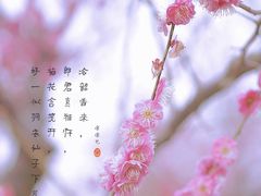 -花开海上生态园