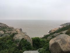 -洋山深水港