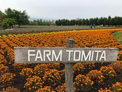 -富田农场