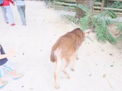 -卡塞拉自然公园