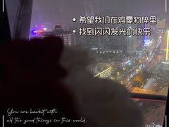 -星城之眼摩天轮
