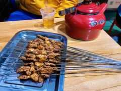 -清真·马峰烤肉(小学习北巷店)