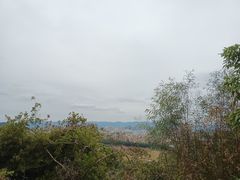 -风云岭森林公园