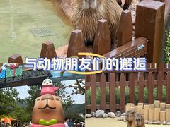 -大连森林动物园