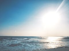 -巨鹏飞梦幻海岸
