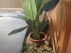 -沅江水·湖南家宴(南村万博长隆商圈店)