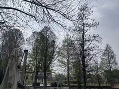 -同里国家湿地公园