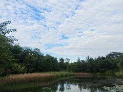 -白鹭湾湿地公园