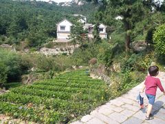 -青岛崂山太清宫