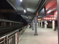 -平湖站