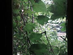 -斯多格书乡(北京大学畅春园店)