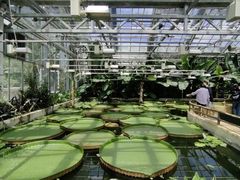 -国家植物园南园