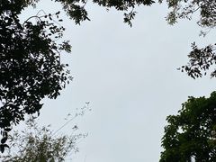 -云溪植物园