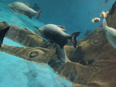 -秦皇岛新澳海底世界
