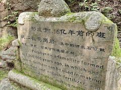 -王顺山国家森林公园