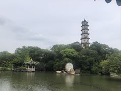 -江心屿景区