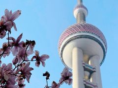 -东方明珠广播电视塔