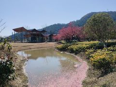 -径山花海