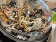 -半岛听涛蒸汽海鲜自助(K11店)