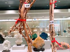 -北京中医药大学-中医药博物馆