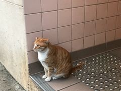 -南丫岛