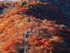 -水峪民俗村