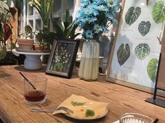 -自由生长植物工作室(深港花卉中心店)