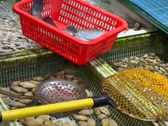 -先锋海鲜市场